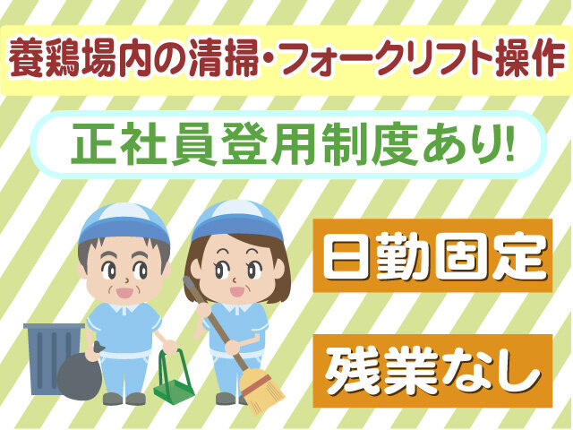 写真1
