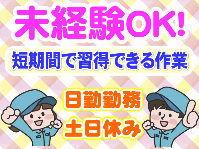 写真1
