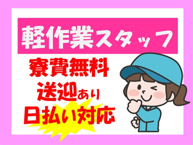 写真1