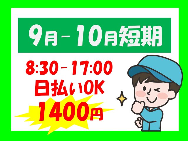 写真1