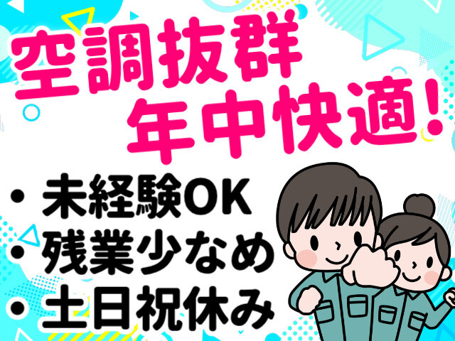 写真1
