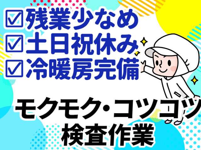 写真1
