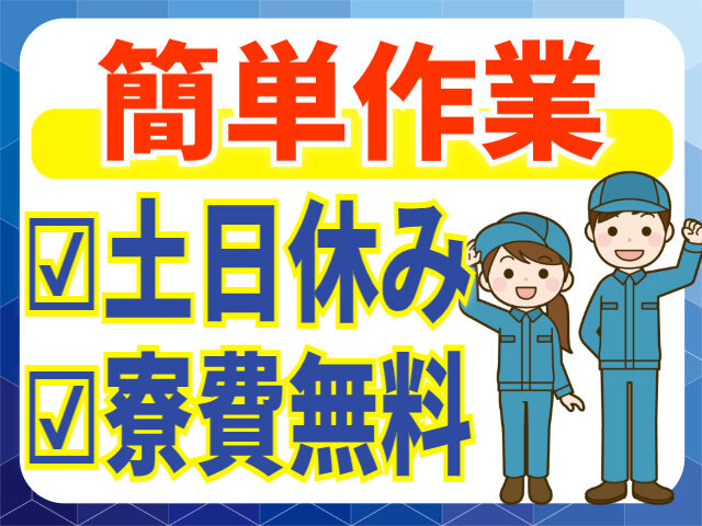 写真1