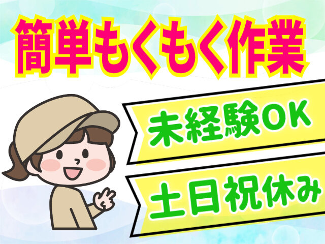 写真1