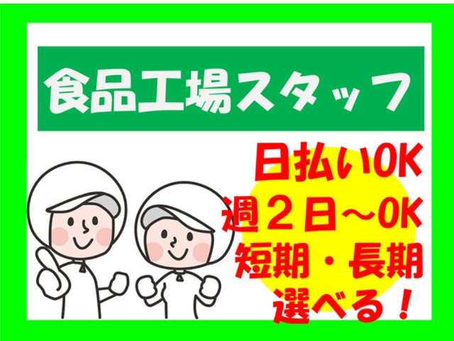 食品工場スタッフ、日払いOK、週2日～OK、短期・長期