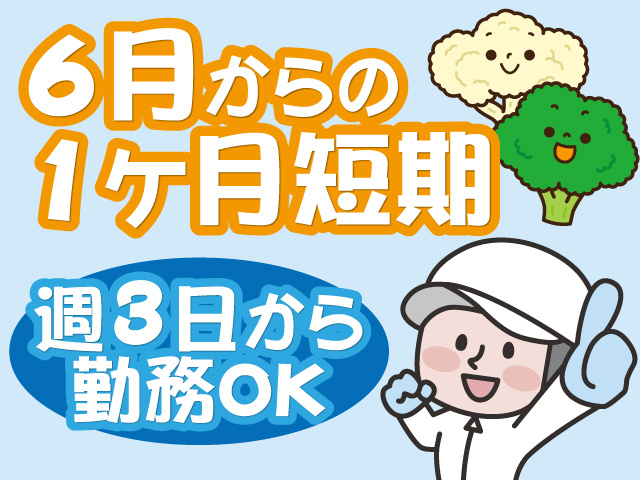 6月からの1ヶ月短期、週3日から勤務OK