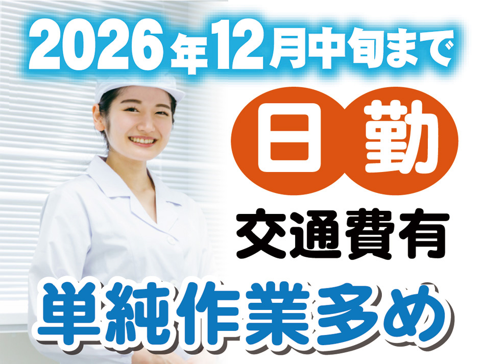 食品工場で日勤で働いている女性