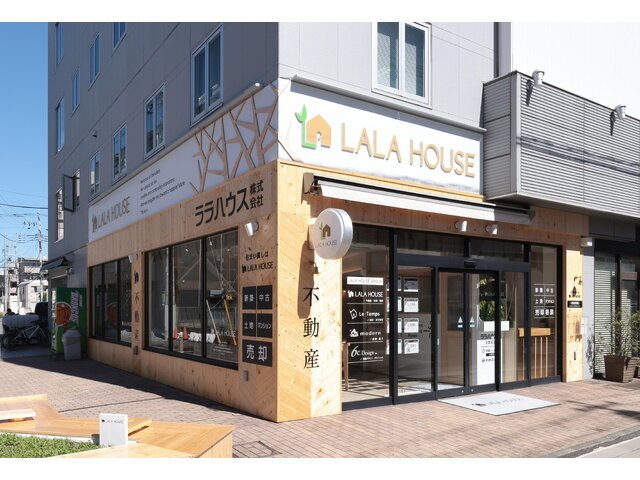 写真1