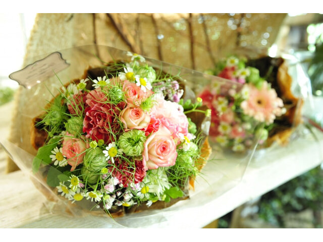 写真1