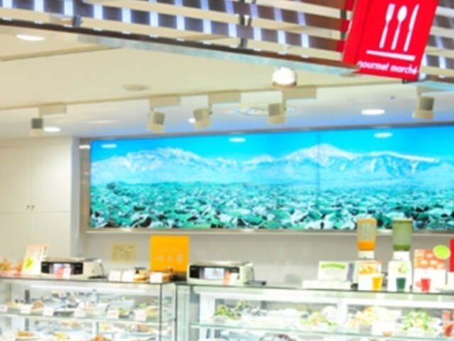 写真1