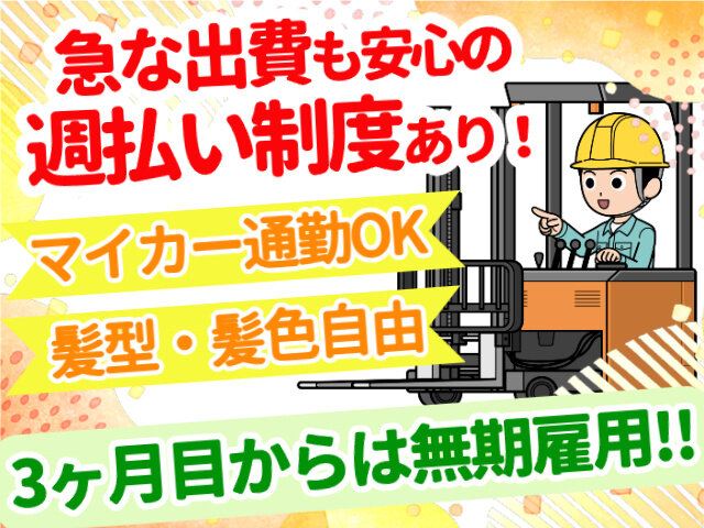 写真1