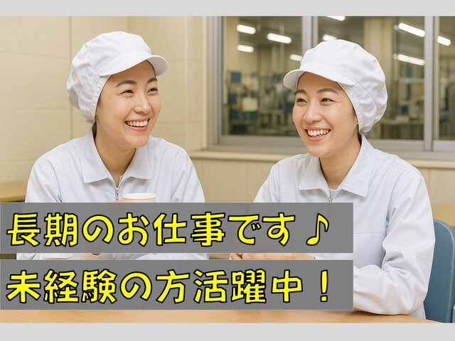 写真1