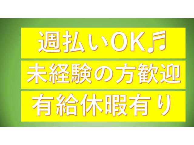 写真1