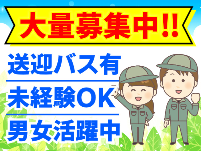 大量募集中‼／送迎バス有／未経験OK／男女活躍中