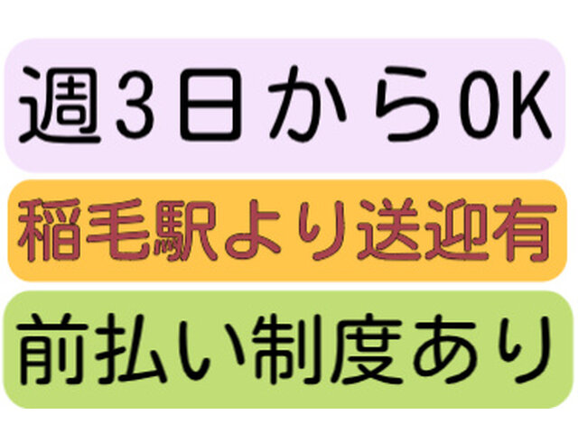 写真1