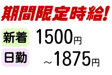 期間限定時給1500円～1875円、新着、日勤