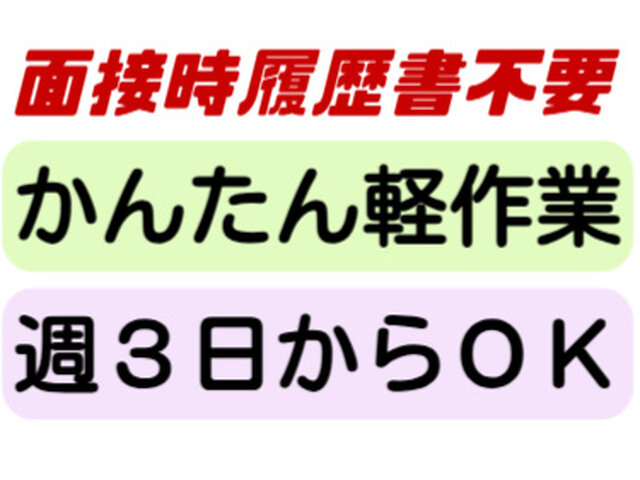 写真1