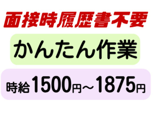 写真1