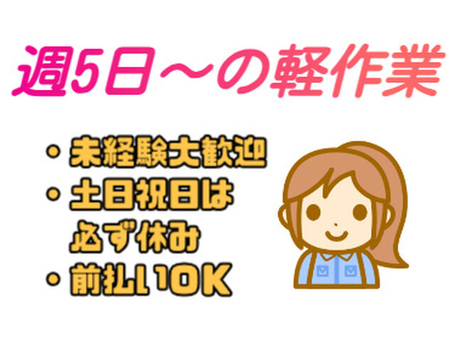 写真1
