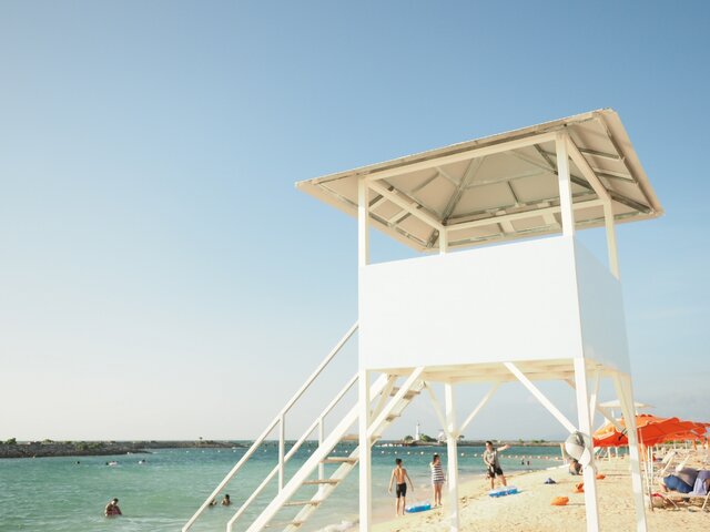 写真1