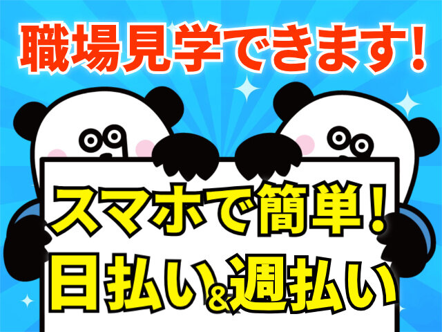 写真1