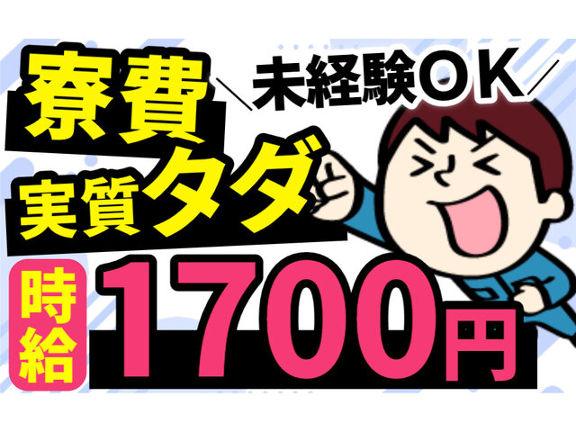 写真1