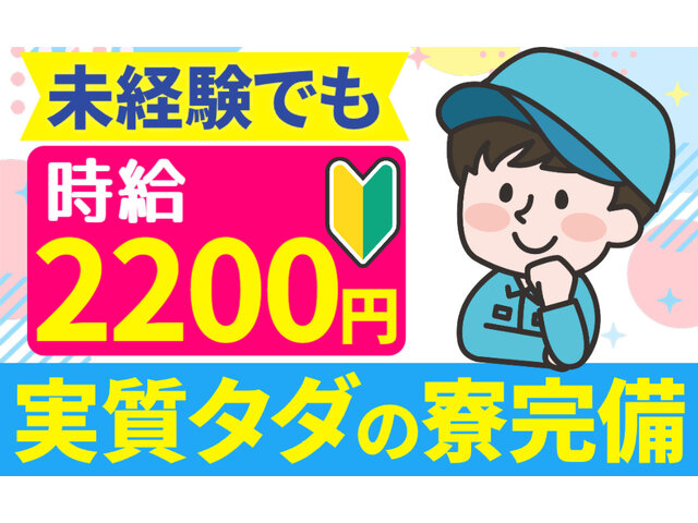 写真1