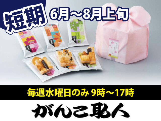 写真1