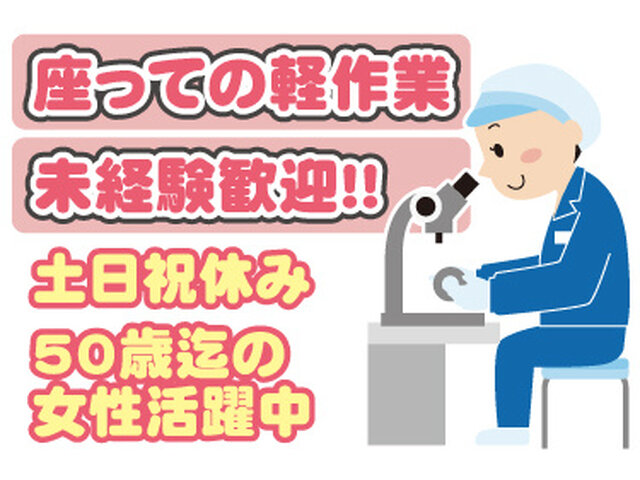 写真1