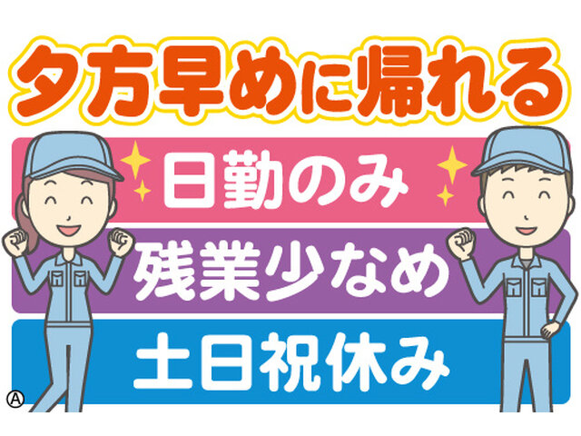 写真1