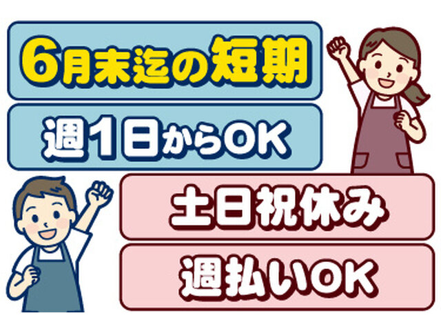 写真1