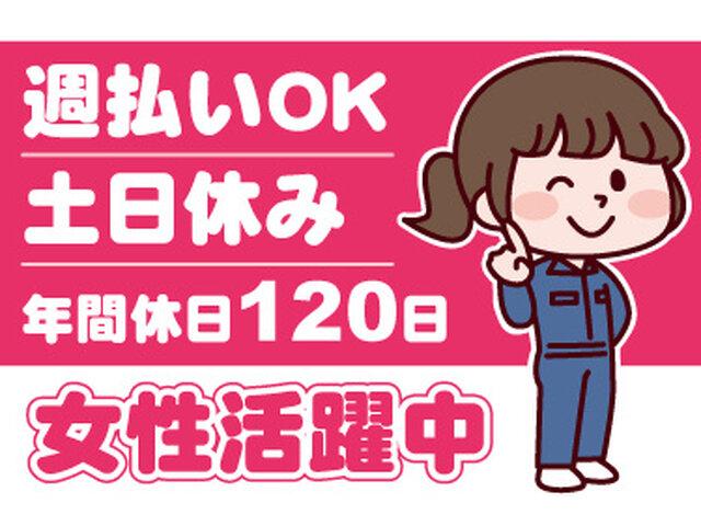 写真1