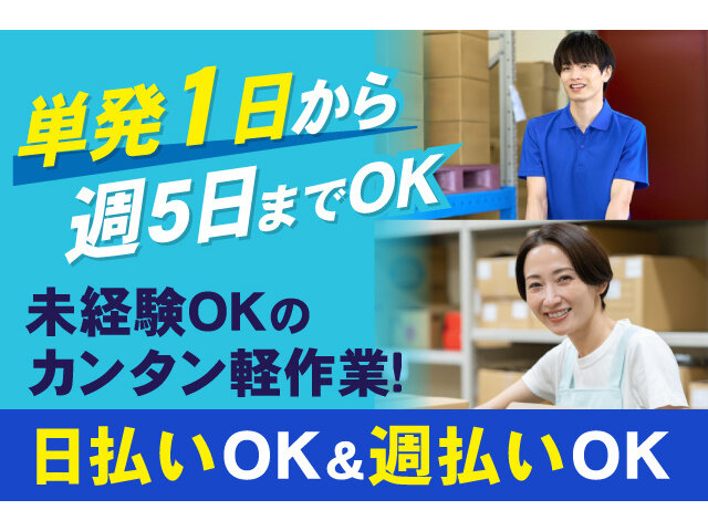 写真1