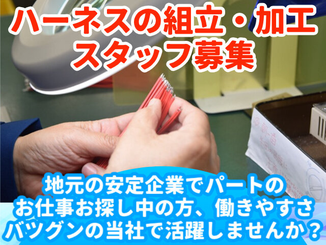 写真1
