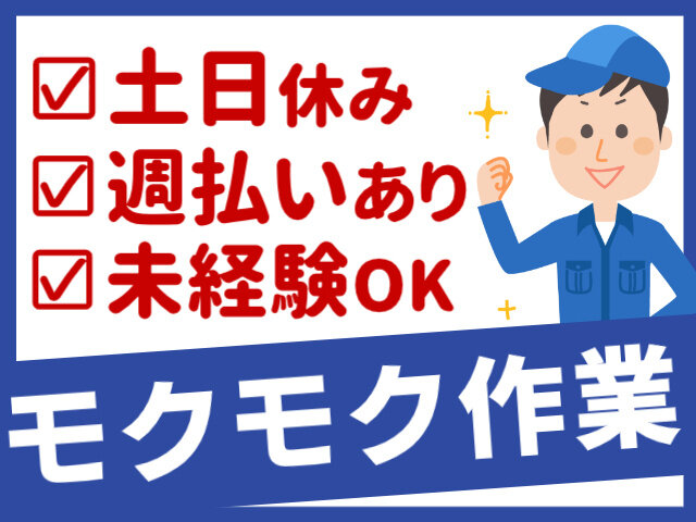 写真1