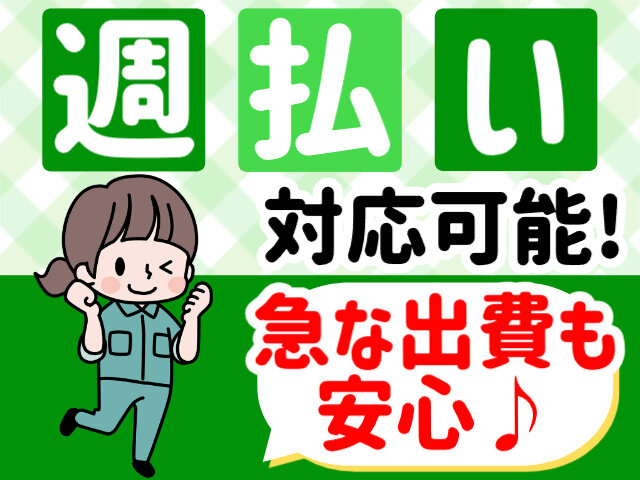 写真1