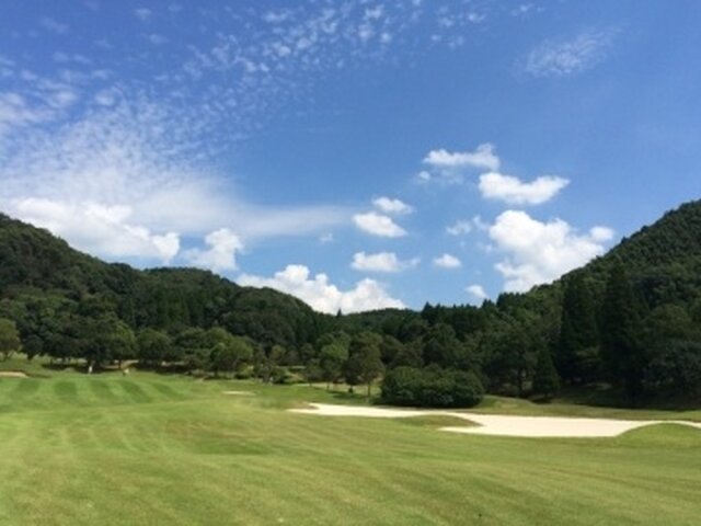 写真1