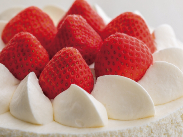 ケーキの写真