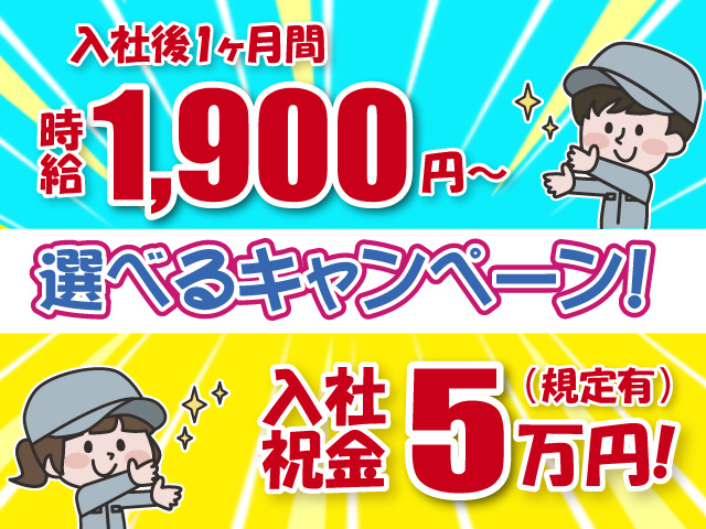 選べるキャンペーン