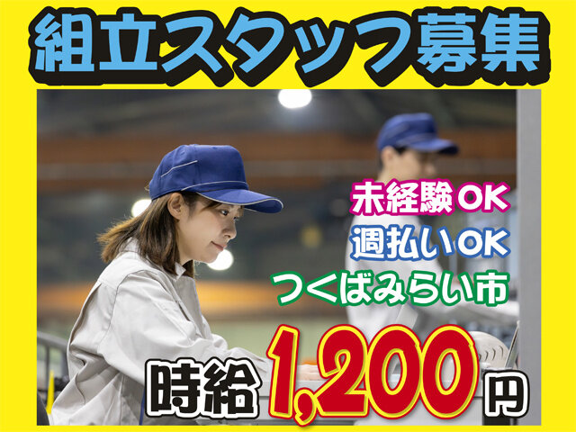写真1
