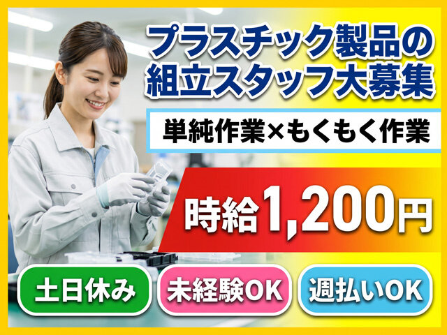 写真1