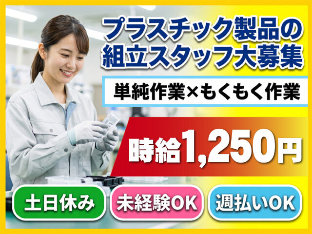 写真1