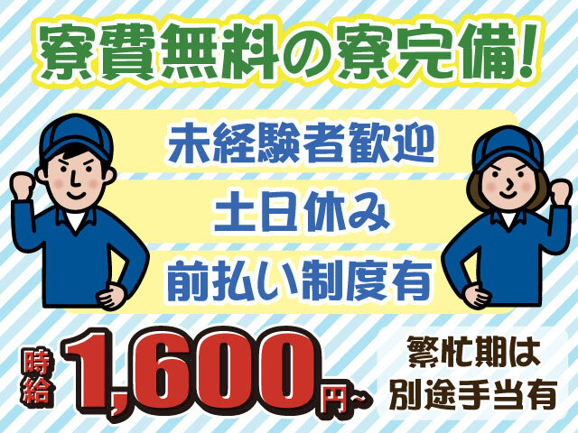 写真1