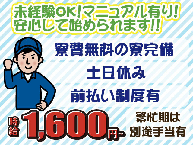 写真1