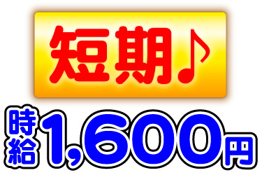 短期、時給1,600円