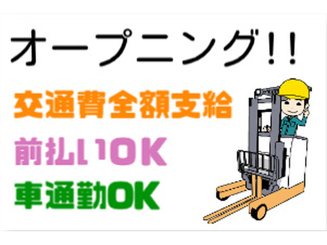 写真1