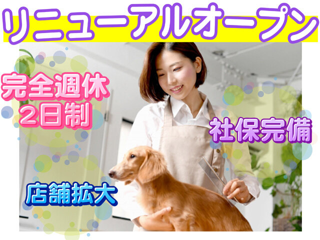 写真1