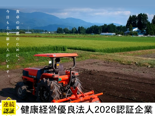 食卓の