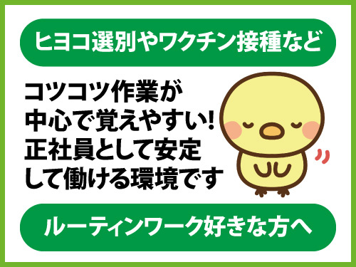 ヒヨコ選別やワクチン接種など／ルーティンワーク／モクモク作業