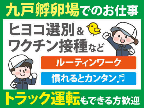 ヒヨコ選別やワクチン接種など／ルーティンワーク／モクモク作業